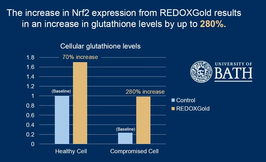 Graph showing a 70% increase in glutathione levels in a healthy cell, and 280% increase in a compromised cell, from the University of Bath.