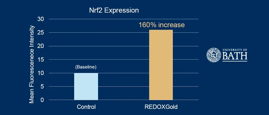 Understanding the Nrf2 Pathway: The Key to Cellular Recovery